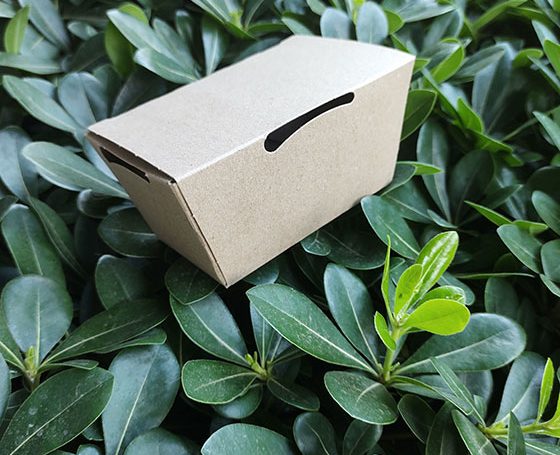 Packaging Sustentable