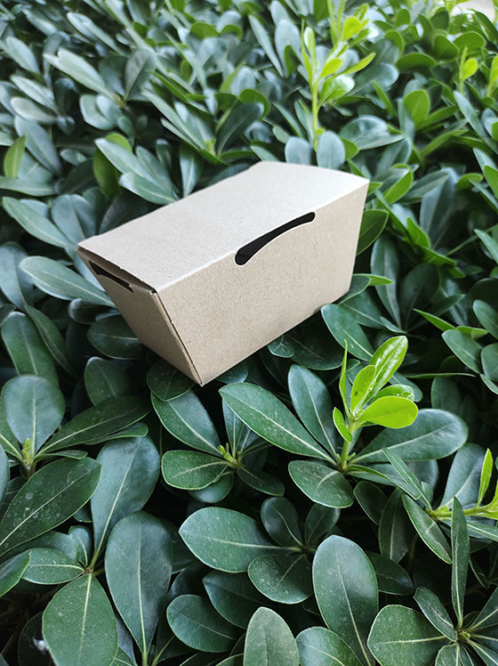 Packaging Sustentable