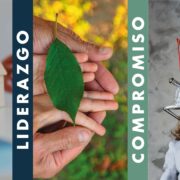 Liderazgo, compromiso e innovación en Grupo HZ