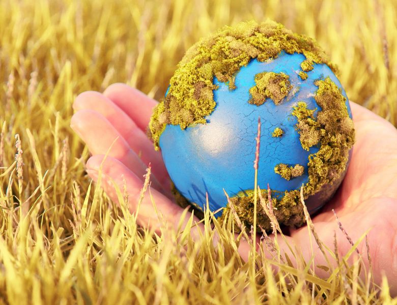 gstion ambiental 1